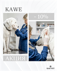 -10% на немецкое диагностическое оборудование от фирмы KaWe!